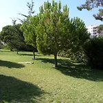 Aldeia Da Falesia