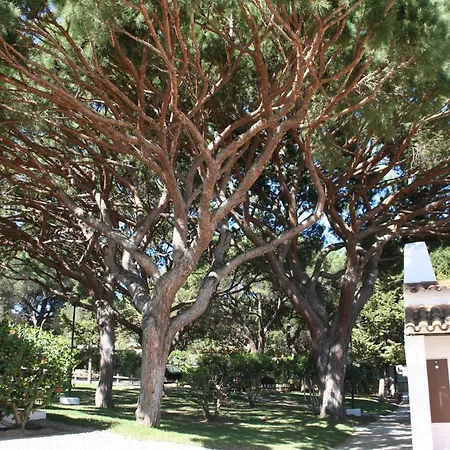 Appartamento Aldeia Da Falesia Albufeira