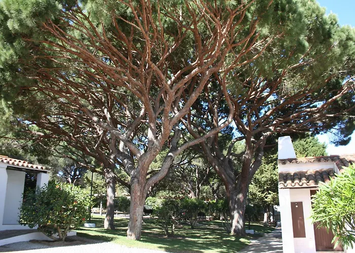 Apartamento Aldeia Da Falesia Albufeira